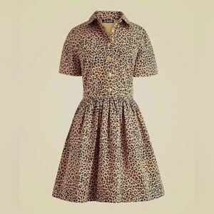 JCrew A-Line Shirt Dress with Notched Collar